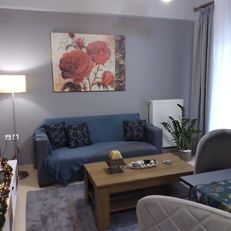 Χαίρε, Ξεΐνε, Παρ' Αμμι Φιλησεαι Apartment Trikala  Exterior photo